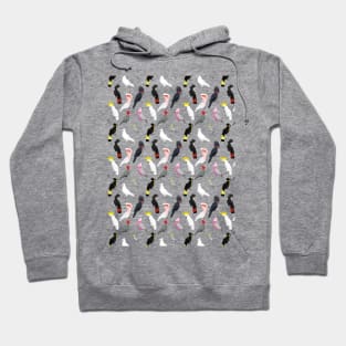 Cockatoo pattern Hoodie